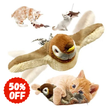 BirdyPlay®️Estimula Su Instinto Natural🎁50% OFF🎁
