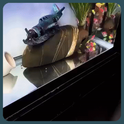 AquaGlow 2en1 ®️Tus Peces Merecen Más Oxígeno.🎁50% OFF