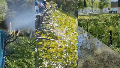 RIEGOFLEX ™💦Mantén Todas Tus Plantas Hidratadas Sin Desperdiciar🎁50% OFF🎁