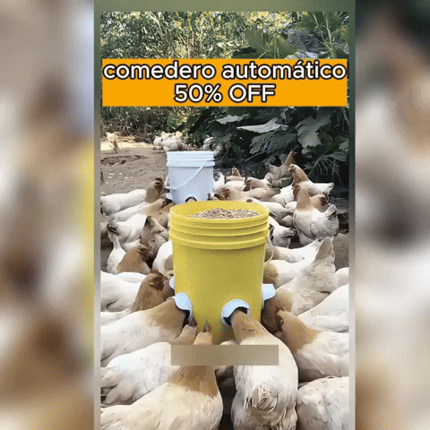 Comedero Para Aves X4 Unidades Y Broca GRATIS🎁50% OFF