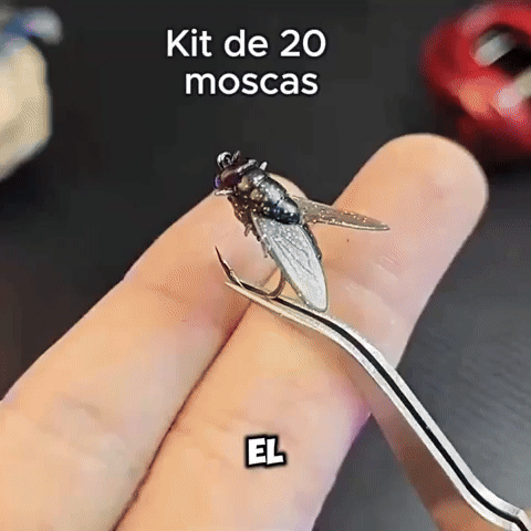 Kit de 20 Moscas Para Pescar 🐟 ¡Que no se te escape el pez!💫