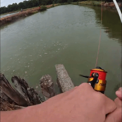 COMBO DE PESCA PROFESIONAL🐟Pesca Con Confianza Y Olvida Las Varas Débiles🎁50% OFF🎁