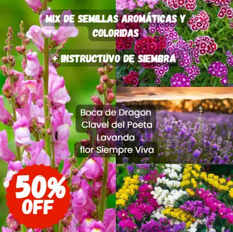 MIX De semillas Florales + Guía De Siembra🌷Dale Vida A Tus Espacios🌷
